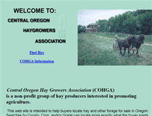Tablet Screenshot of hayfinder.org